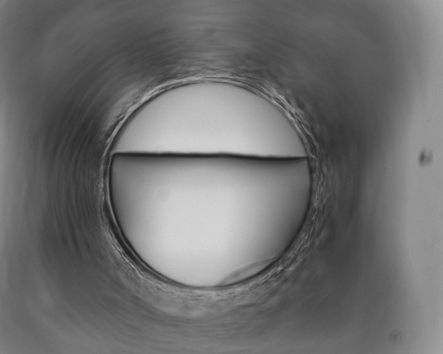 X0000090900002200707301021