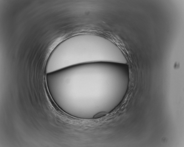 X0000090900003200707301021