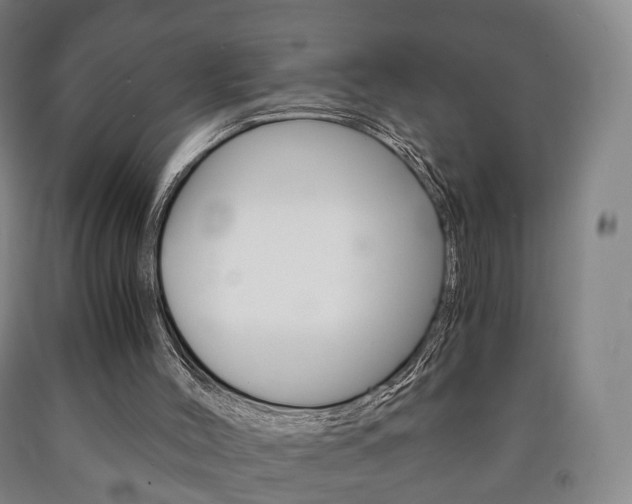 X0000090900004200707301021