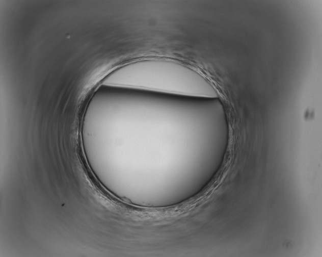 X0000090900005200707301021