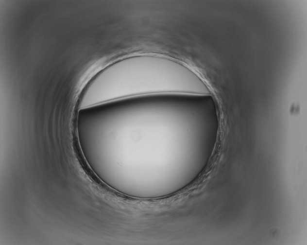 X0000090900007200707301021