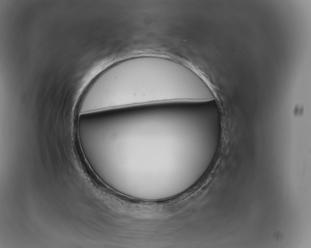 X0000090900008200707301021