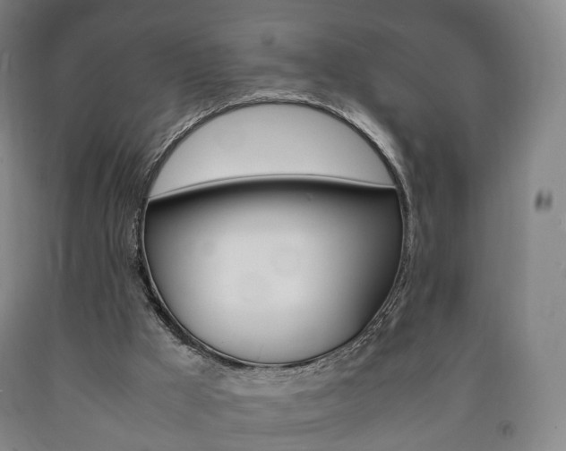 X0000090900009200707301021