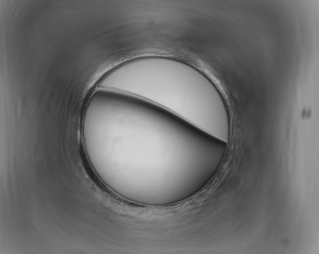 X0000090900011200707301021