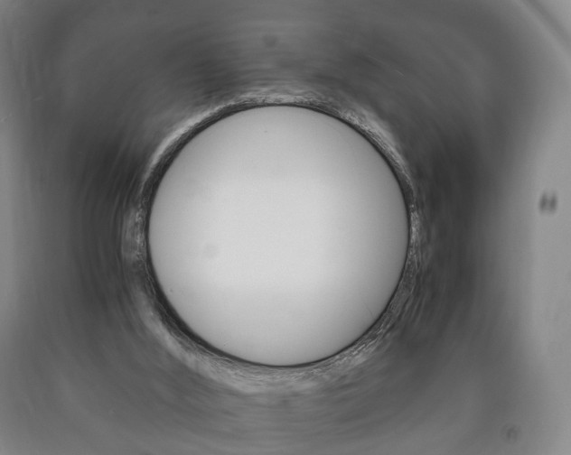 X0000090900012200707301021