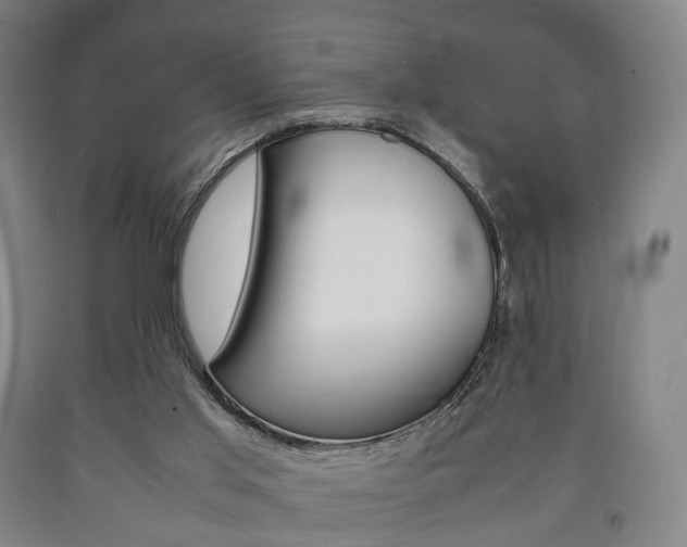 X0000090900013200707301021