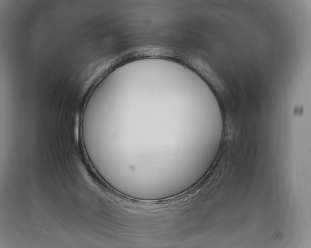 X0000090900014200707301021