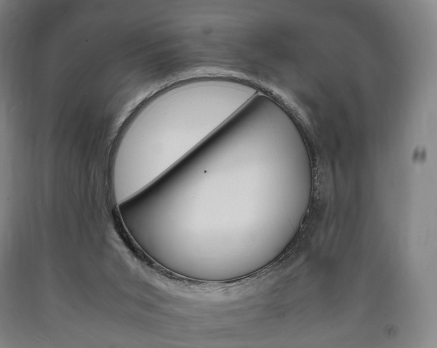 X0000090900015200707301021