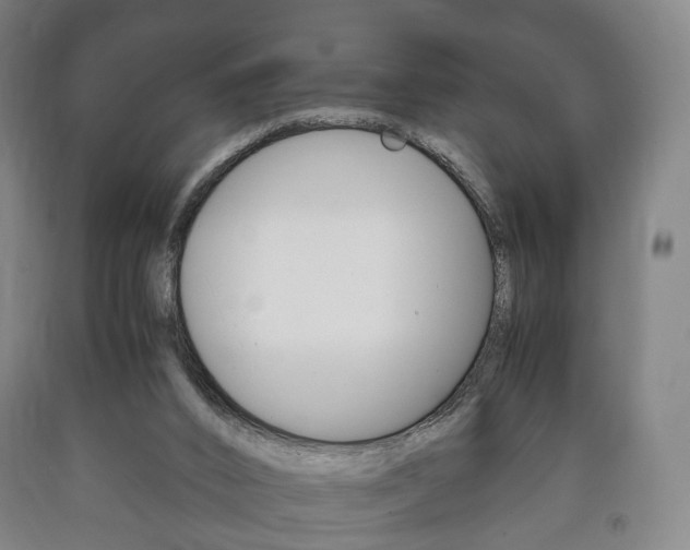 X0000090900016200707301021