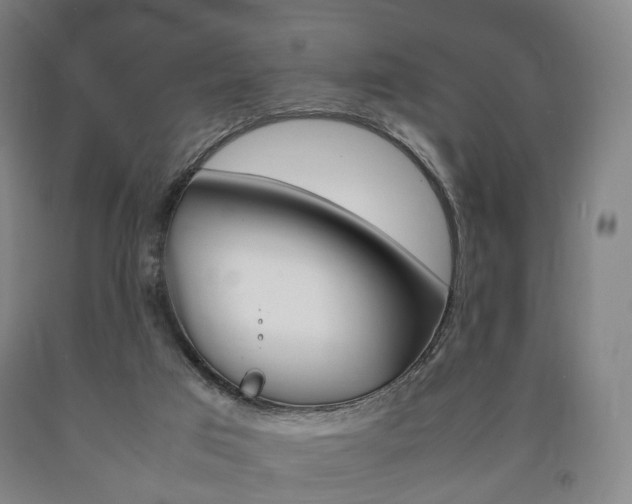 X0000090900017200707301021