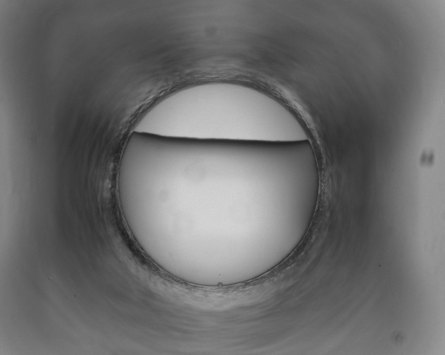 X0000090900018200707301021