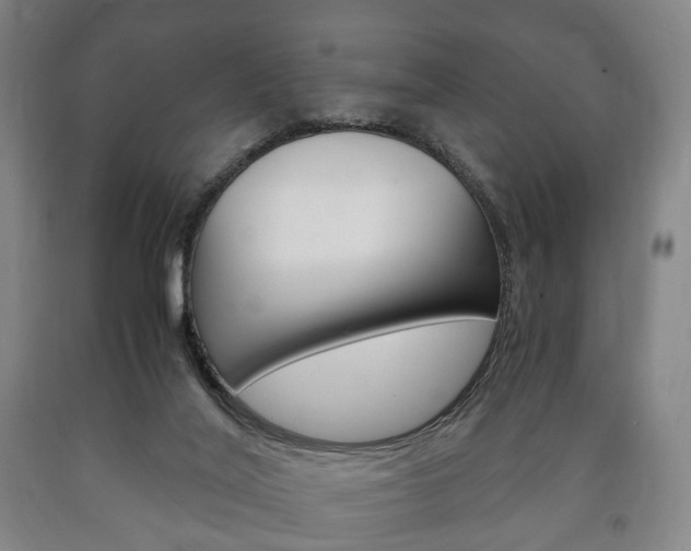 X0000090900020200707301021