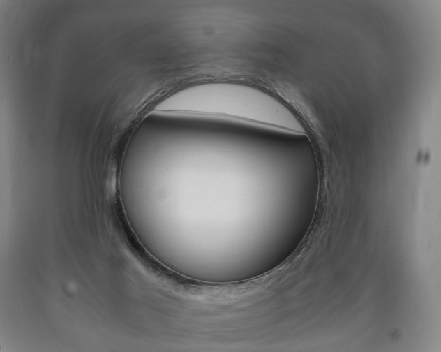 X0000090900021200707301021