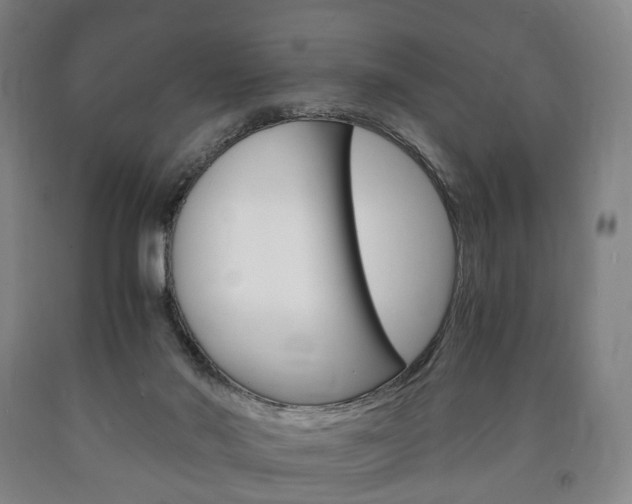 X0000090900022200707301021