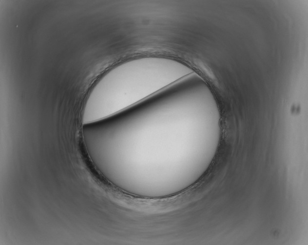 X0000090900023200707301021