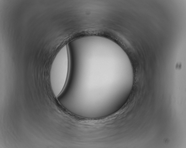 X0000090900025200707301021