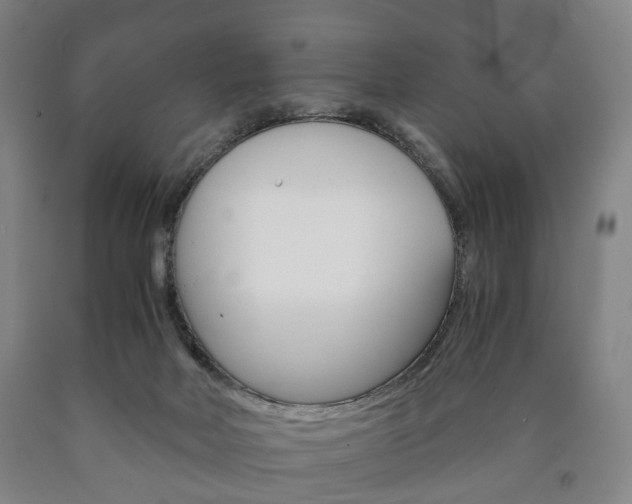 X0000090900026200707301021
