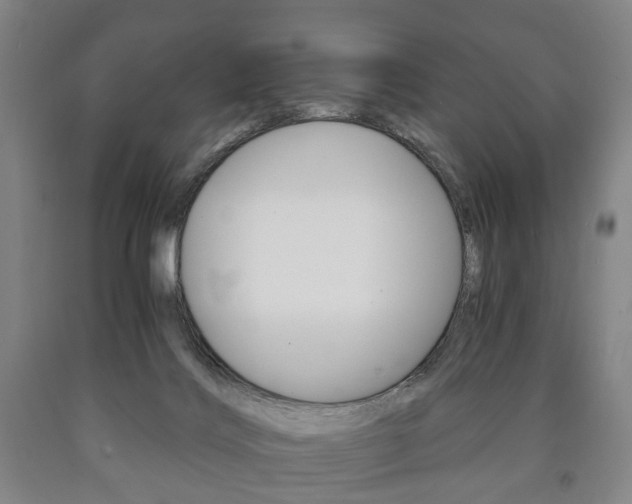 X0000090900028200707301021