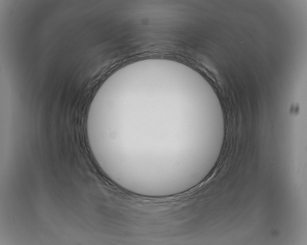 X0000090900029200707301021