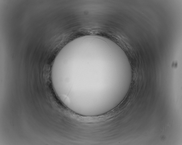 X0000090900030200707301021