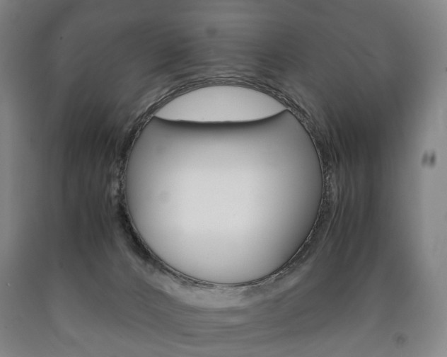 X0000090900032200707301021