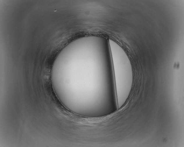 X0000090900033200707301021