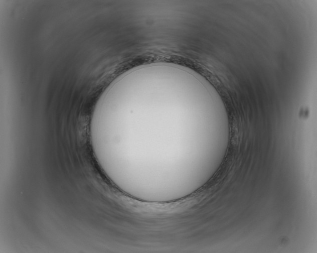 X0000090900034200707301021