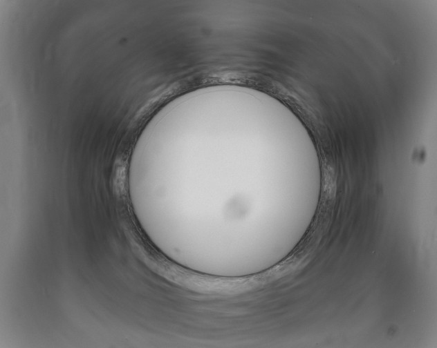 X0000090900036200707301021