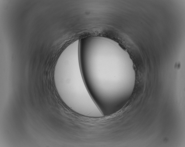 X0000090900037200707301021