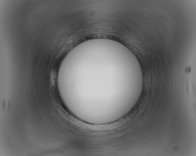 X0000090900038200707301021