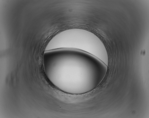 X0000090900039200707301021