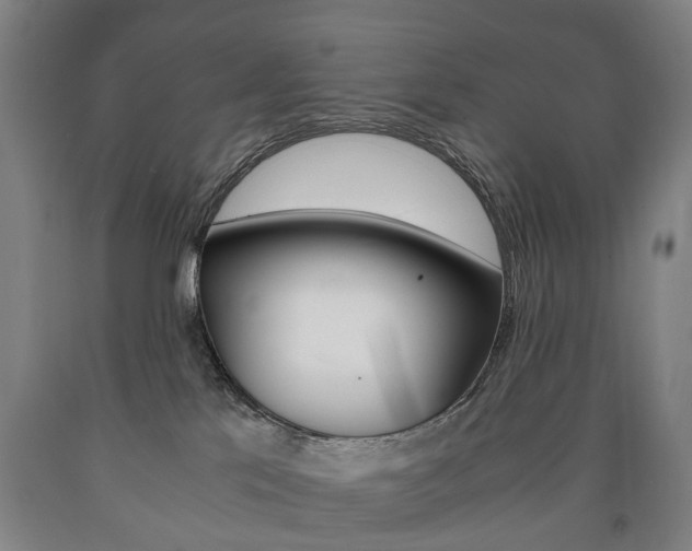 X0000090900041200707301021