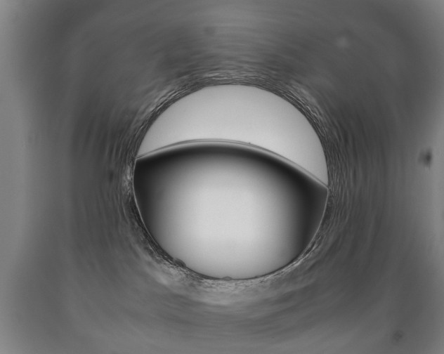 X0000090900045200707301020