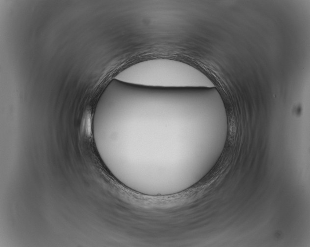 X0000090900046200707301020