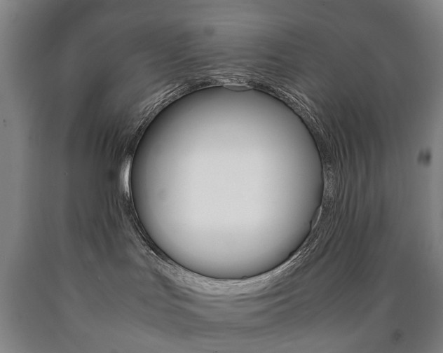 X0000090900047200707301020