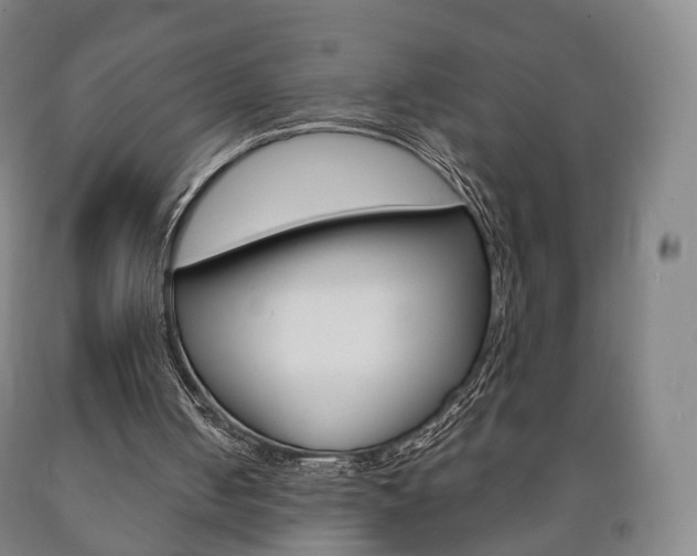 X0000090900050200707301020
