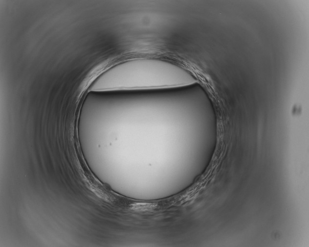X0000090900051200707301020