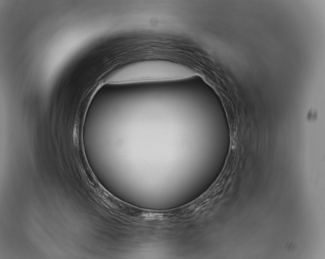 X0000090900052200707301020