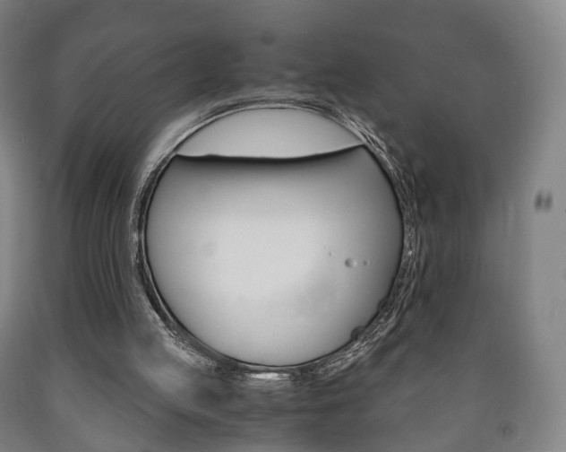 X0000090900053200707301020