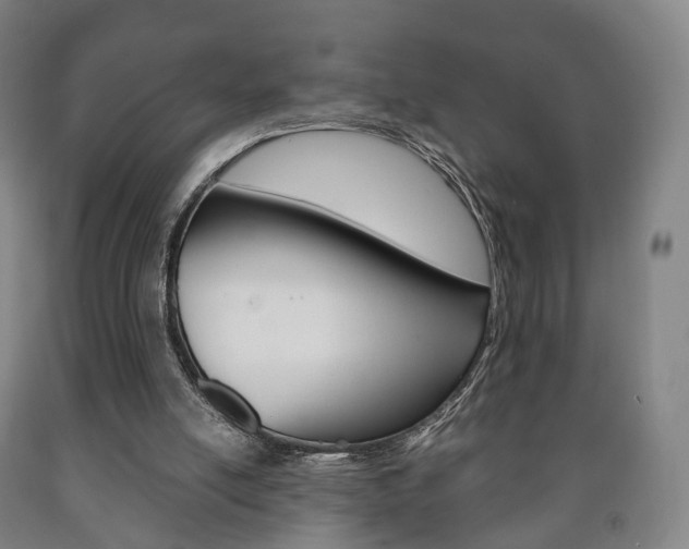 X0000090900054200707301020