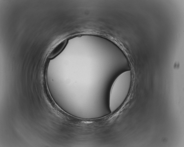 X0000090900055200707301020