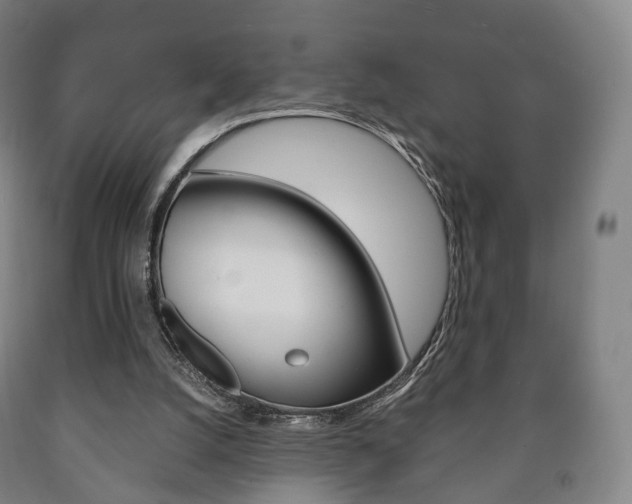 X0000090900056200707301020