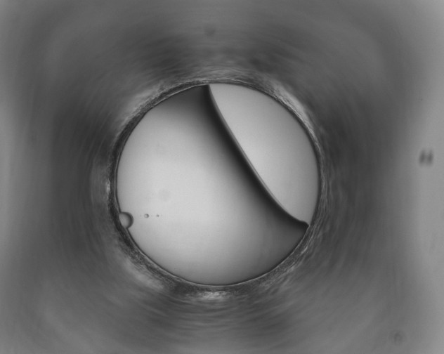 X0000090900059200707301020