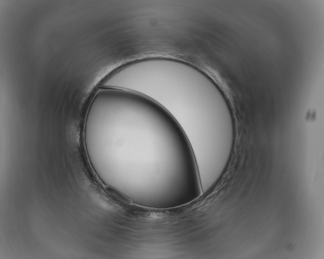 X0000090900060200707301020