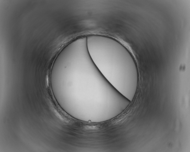X0000090900061200707301020