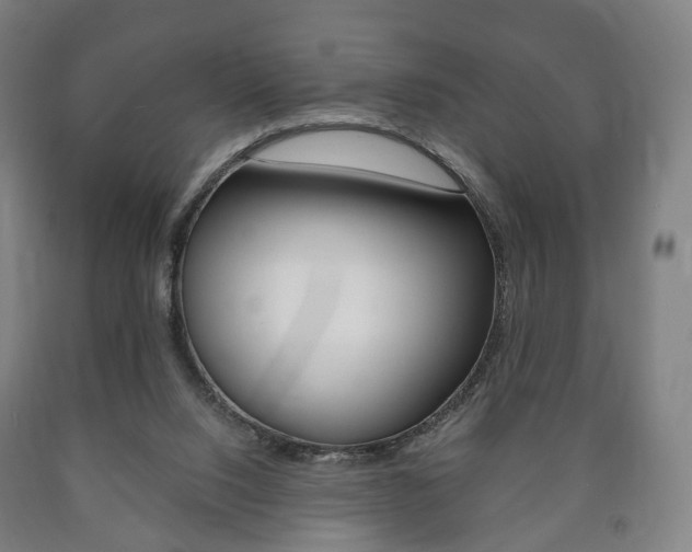 X0000090900064200707301020
