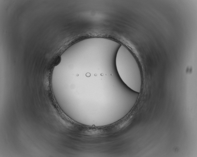 X0000090900065200707301020