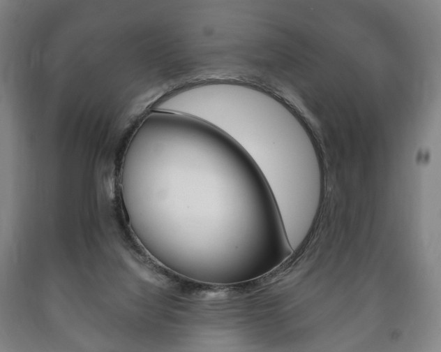 X0000090900068200707301020