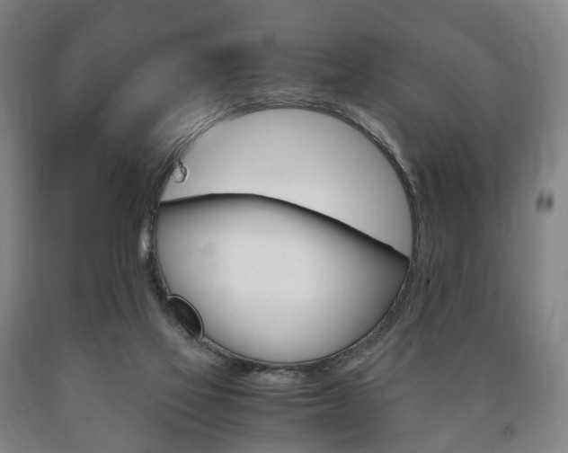 X0000090900069200707301020