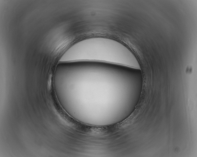 X0000090900070200707301020
